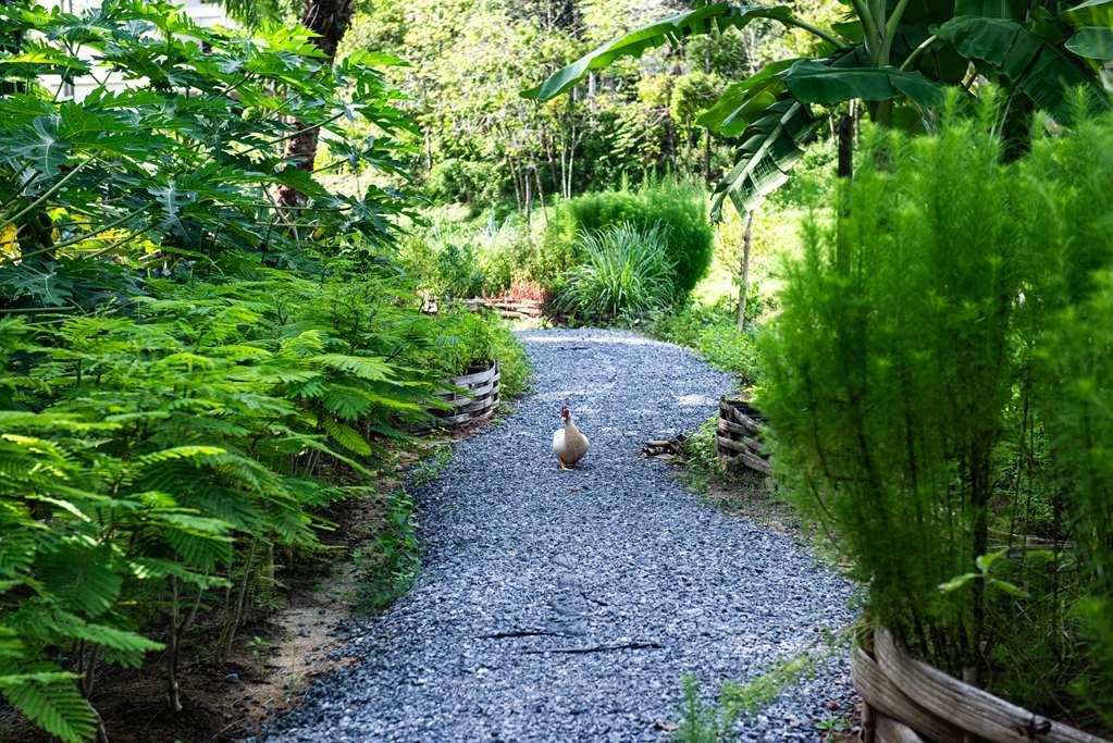 Anantara Koh Yao Yai Resort パンガー エクステリア 写真